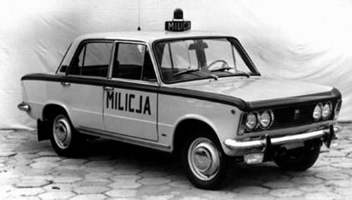 Zwyka Polska Suka