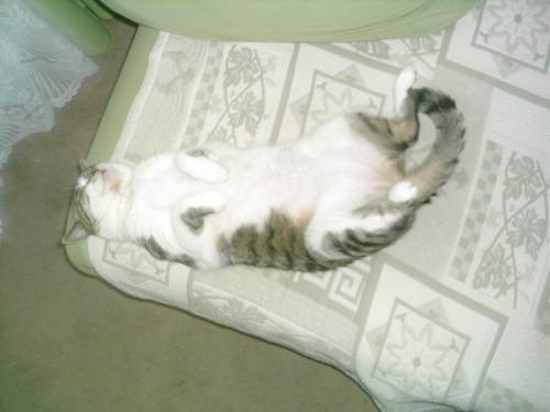 Cicia...... :D