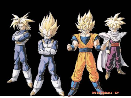 GOHAN PO PRAWEJ