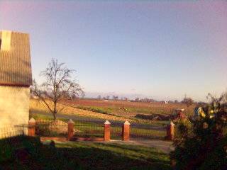 OKOLICA ;-)))