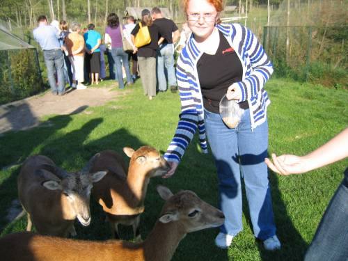 W ZOO