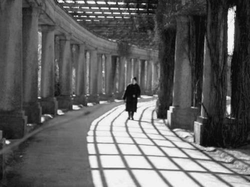 Walk On