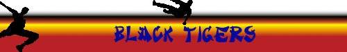 Logo Naszego teamu