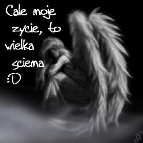 anio