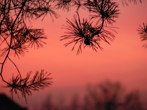 sun is in the sky,oh why oh why?