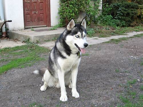 Max :)