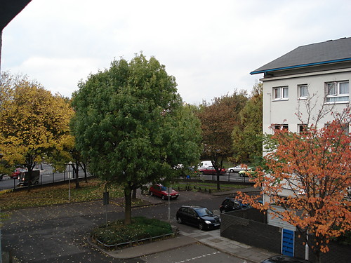 My Street 