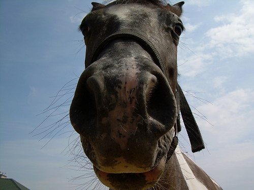 lato =)
