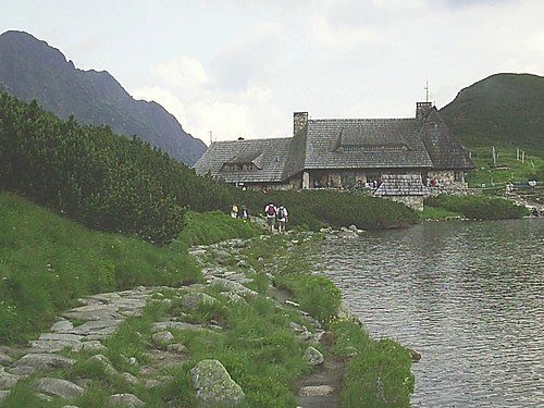 128. Gniazdo