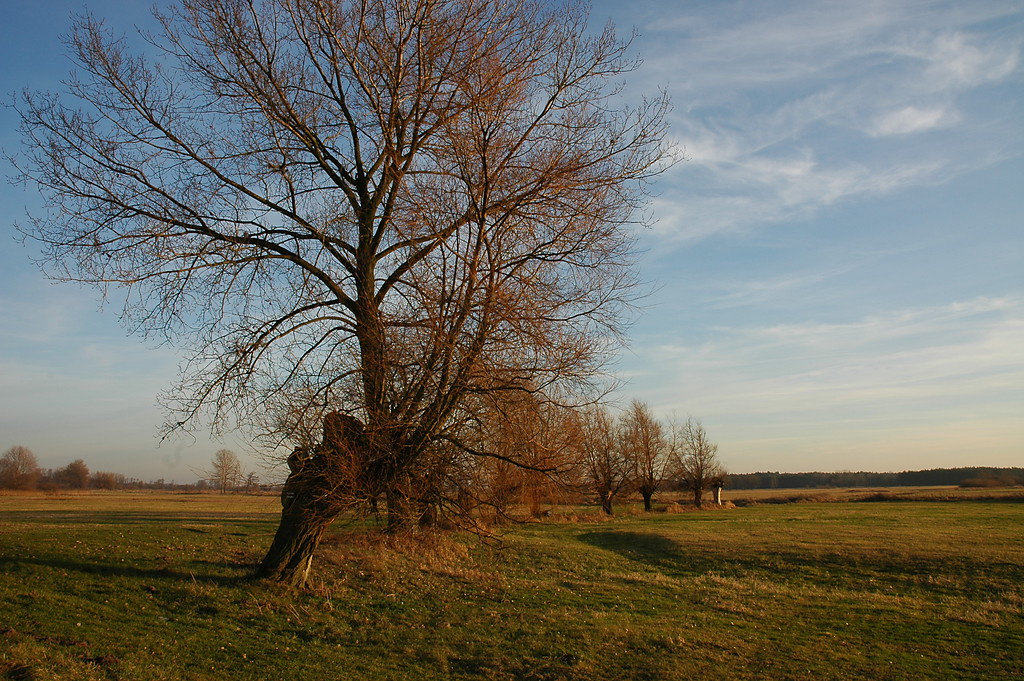 Nadwarciaski Park Krajobrazowy
