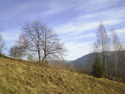 130. Ubiegla sobota w grach