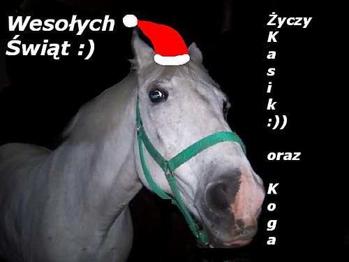 Wesoych wit:)