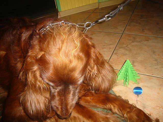 Rusty ;*