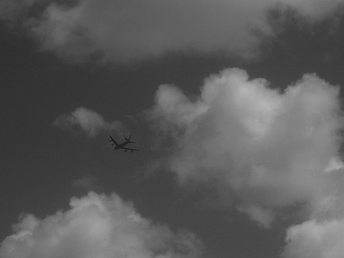 ..FLY AWAY...