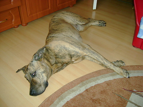Deki:)
