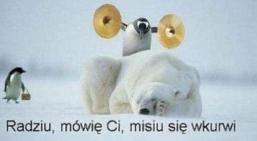 Tytu