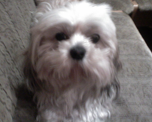 ZuzaANNA ;p