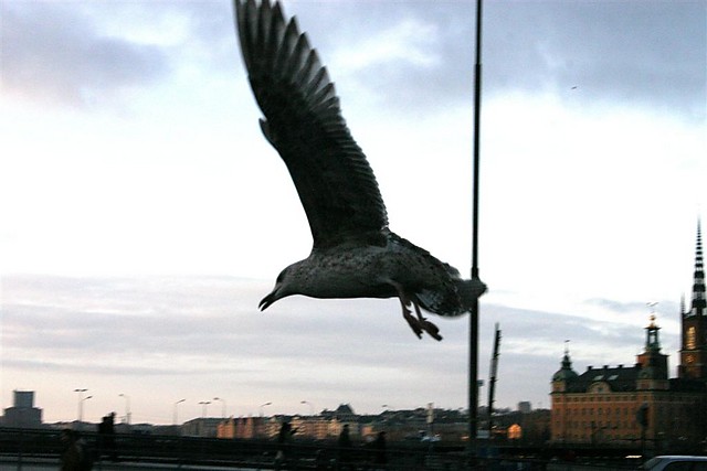 Na sluza w Slussen