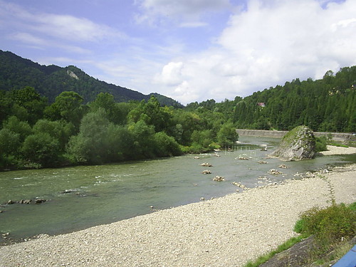 143. Niby kot chytrze si czai