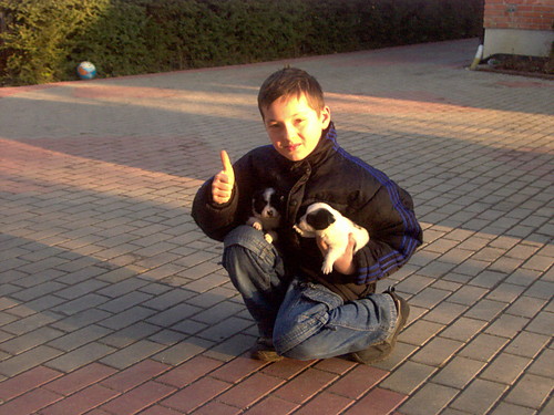 ja  azor i max