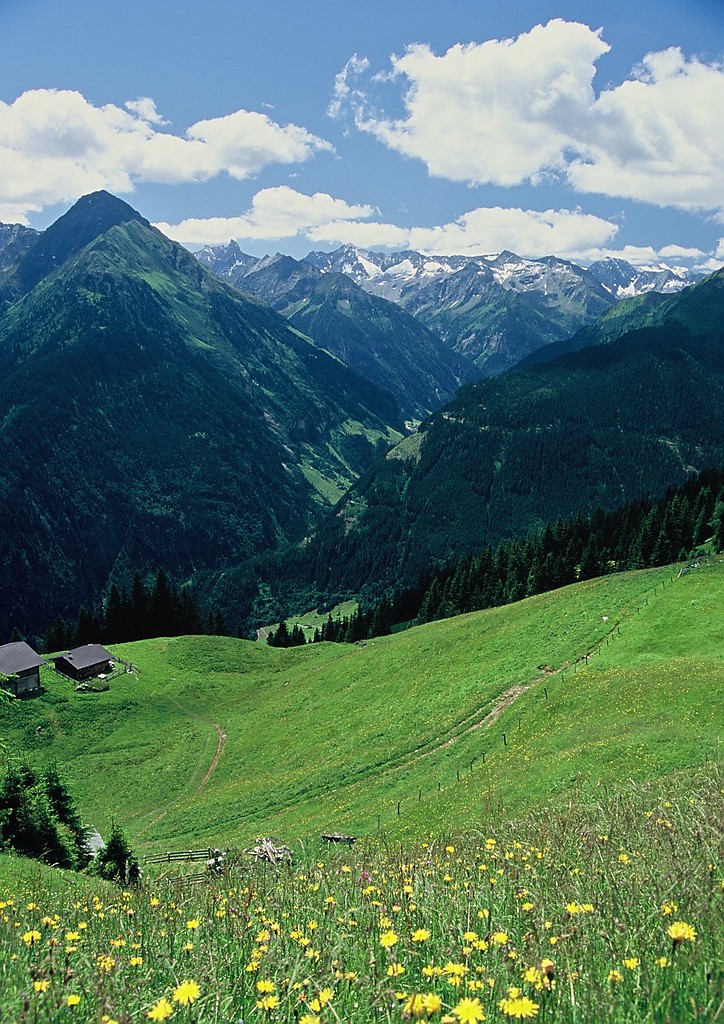 Alpejska sielanka
