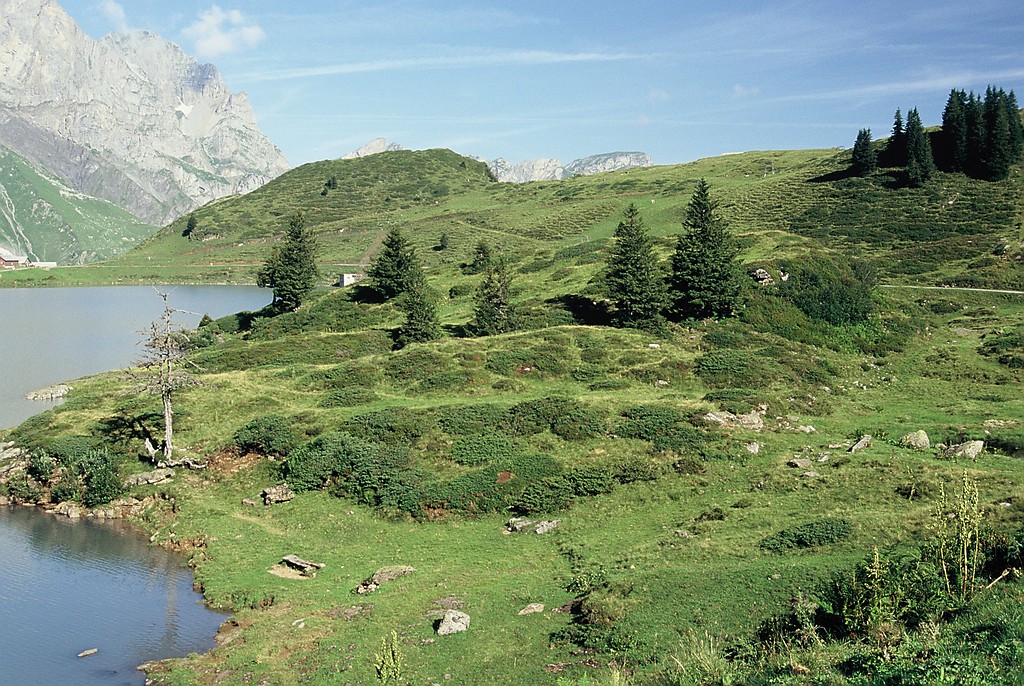 Widok z alpejskiego szlaku