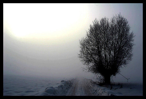 Odsona pierwsza...