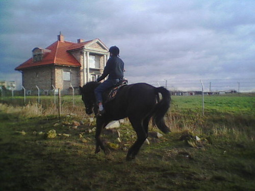 Ja i Falda w galopie!