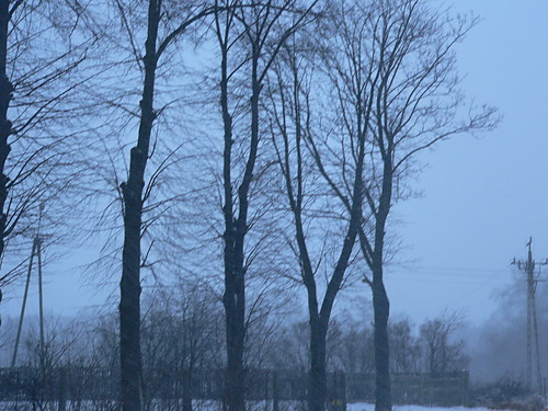 Atak zimy 2007