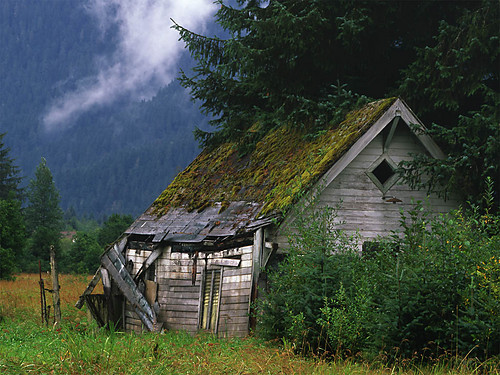 Old house