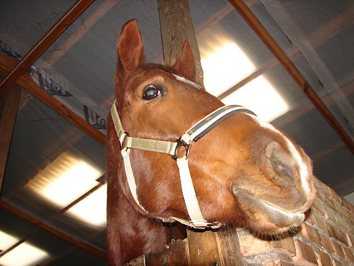 Fancik =)