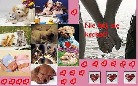 loVe=*