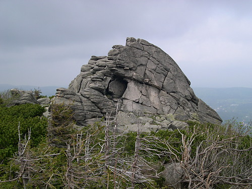 Szrenica