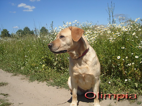 moja Olimpia :)