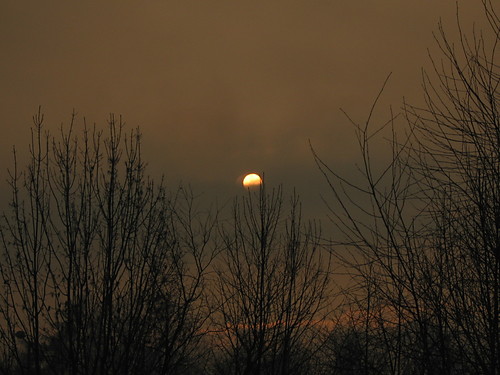 Morning..