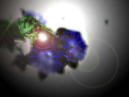 Fowers and divine loop