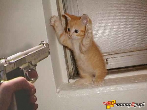 Killer ^.-