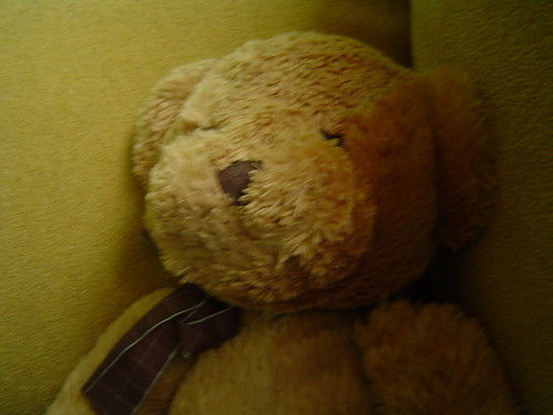 9. Owcze gwno w woreczku.