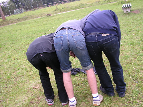 Asses