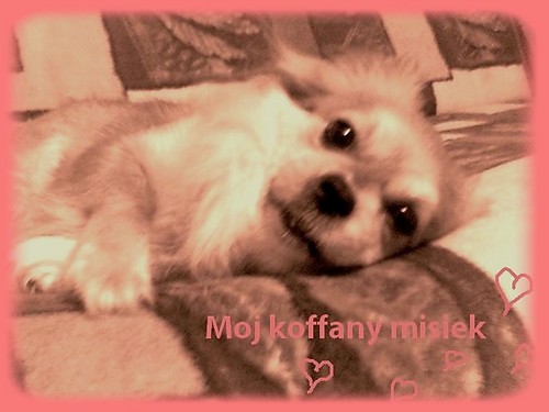 Misiaczek :P