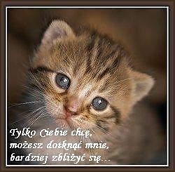 =)
