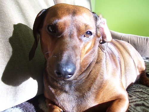 Zuzia :) :)
