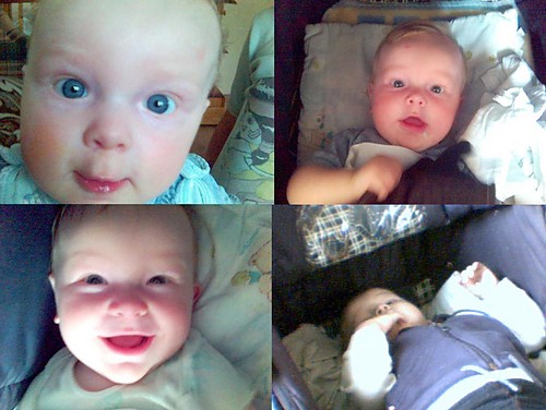 Niku x 4