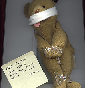 Where is my TEDDY BEAR?!