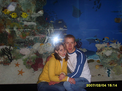 Oceanarium 