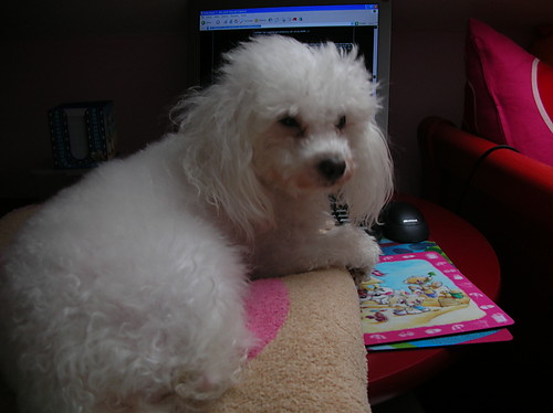 No to mamy daisy hakera ... 