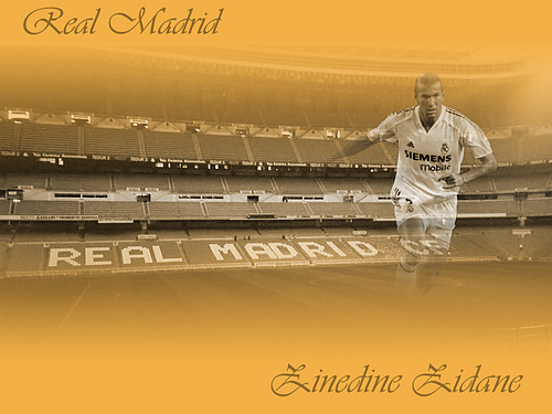 ZiNeDiNe ZiDaNe :D