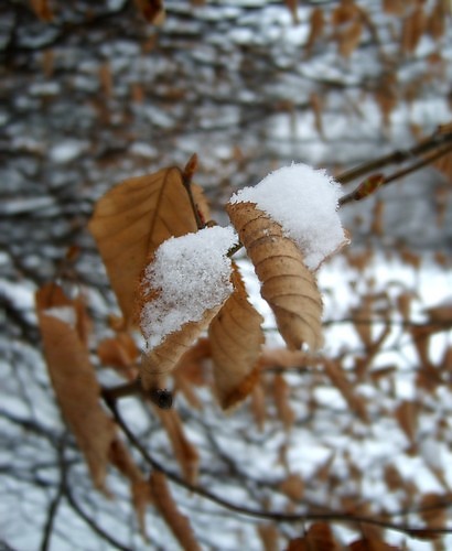 ...zimka...