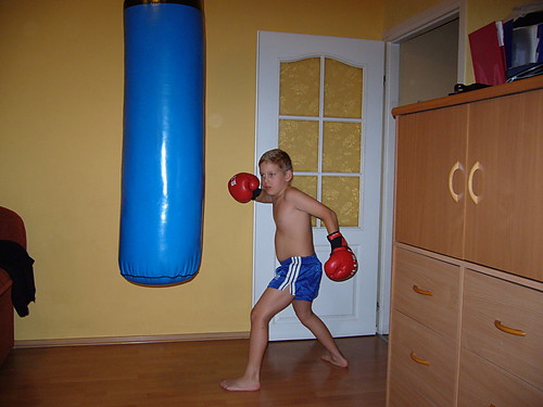 BOXER