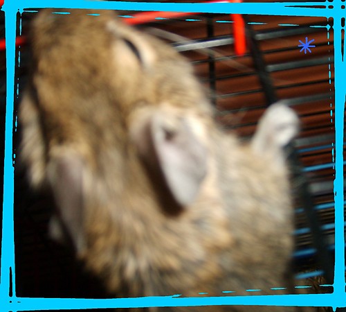 Flip :**